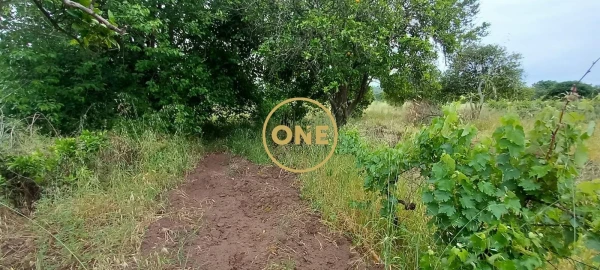 Terreno para Venda em Carregueira