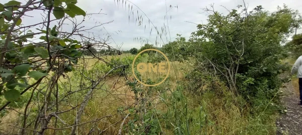 Terreno para Venda em Carregueira