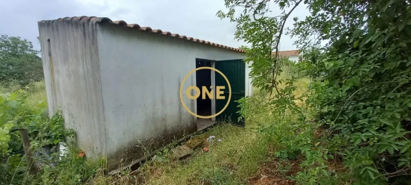 Terreno para Venda em Carregueira