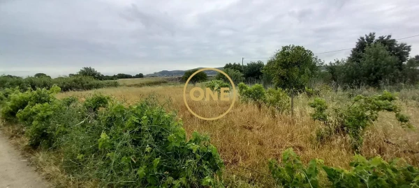 Terreno para Venda em Carregueira