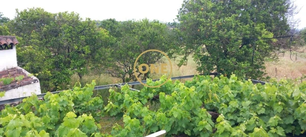 Terreno para Venda em Carregueira