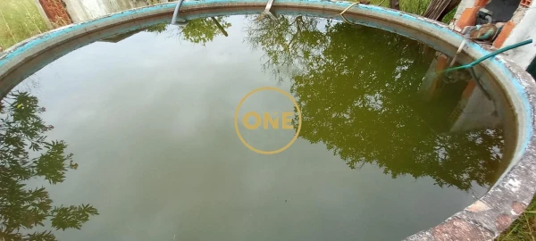 Terreno para Venda em Carregueira