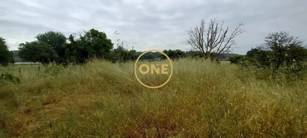 Terreno para Venda em Carregueira