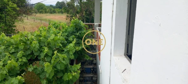 Terreno para Venda em Carregueira