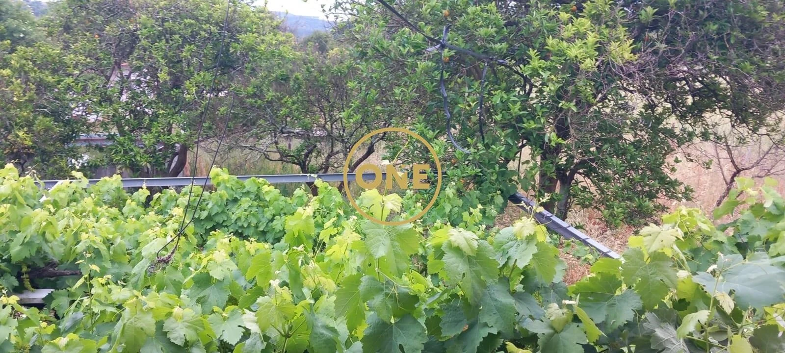 Terreno para Venda em Carregueira Foto 60