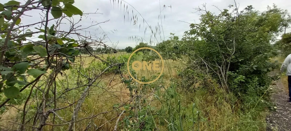 Terreno para Venda em Carregueira Foto 3