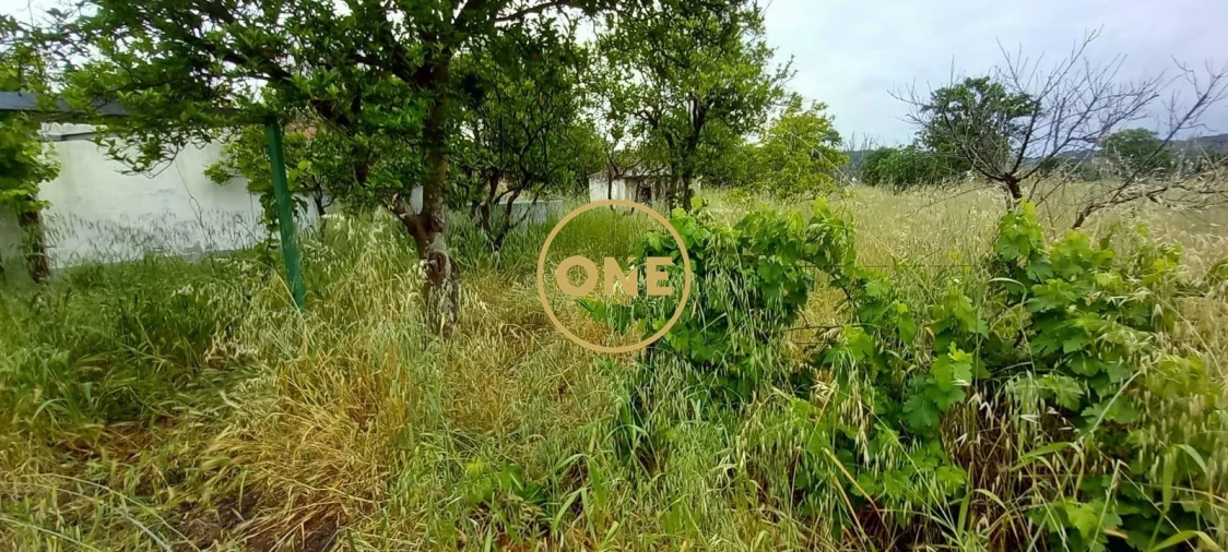 Terreno para Venda em Carregueira Foto 8