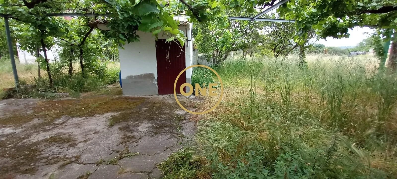 Terreno para Venda em Carregueira Foto 36