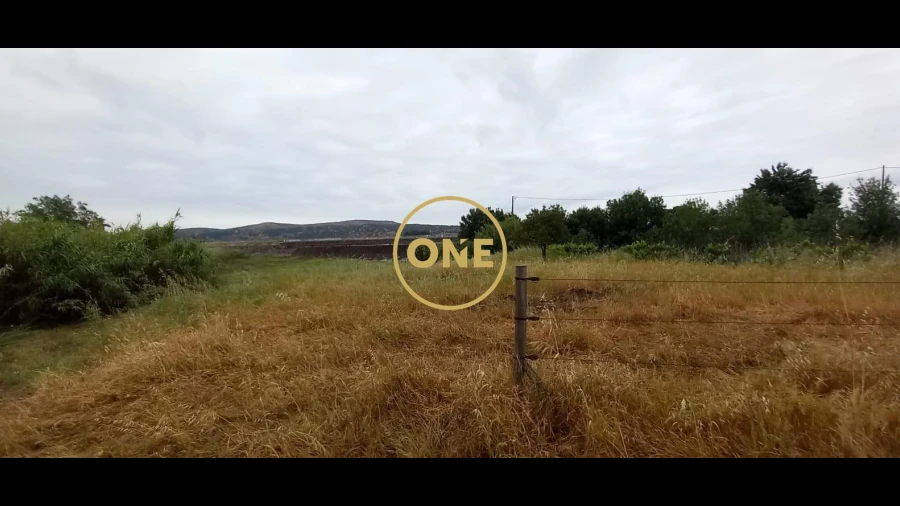 Terreno para Venda em Carregueira