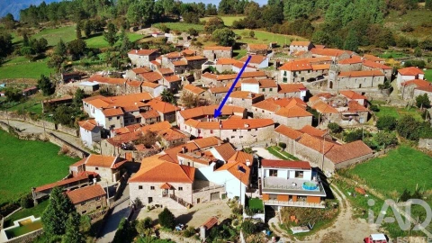 Prédio para Venda em Ruivães e Campos