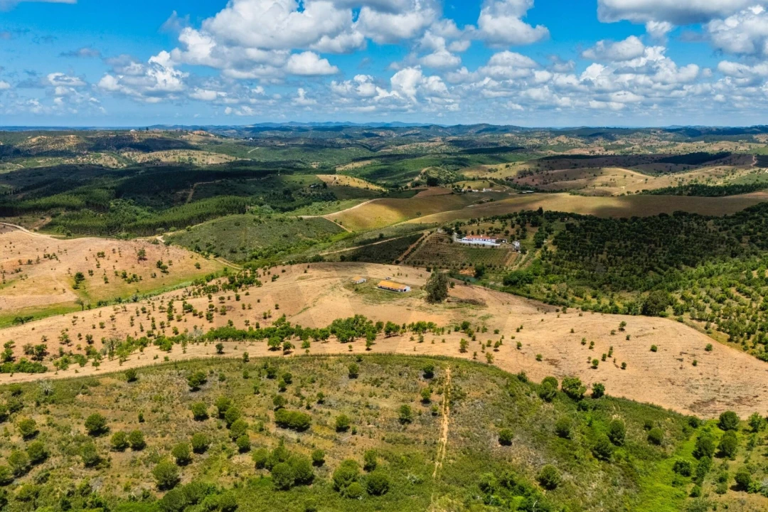 Moradia T3 para Arrendamento em Luzianes-Gare Foto 6