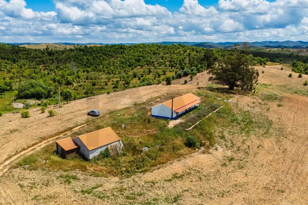 Moradia T3 para Arrendamento em Luzianes-Gare Foto 12