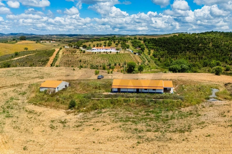 Moradia T3 para Arrendamento em Luzianes-Gare Foto 10
