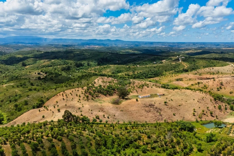 Moradia T3 para Arrendamento em Luzianes-Gare Foto 7