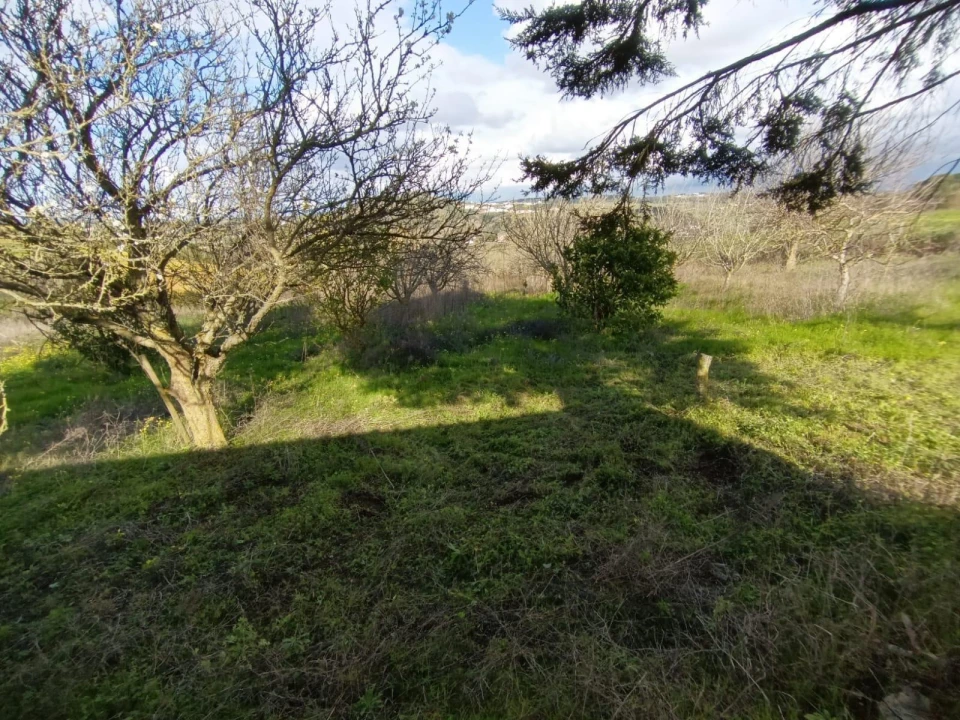 Terreno para Venda em Meca Foto 8