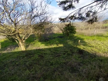 Terreno para Venda em Meca
