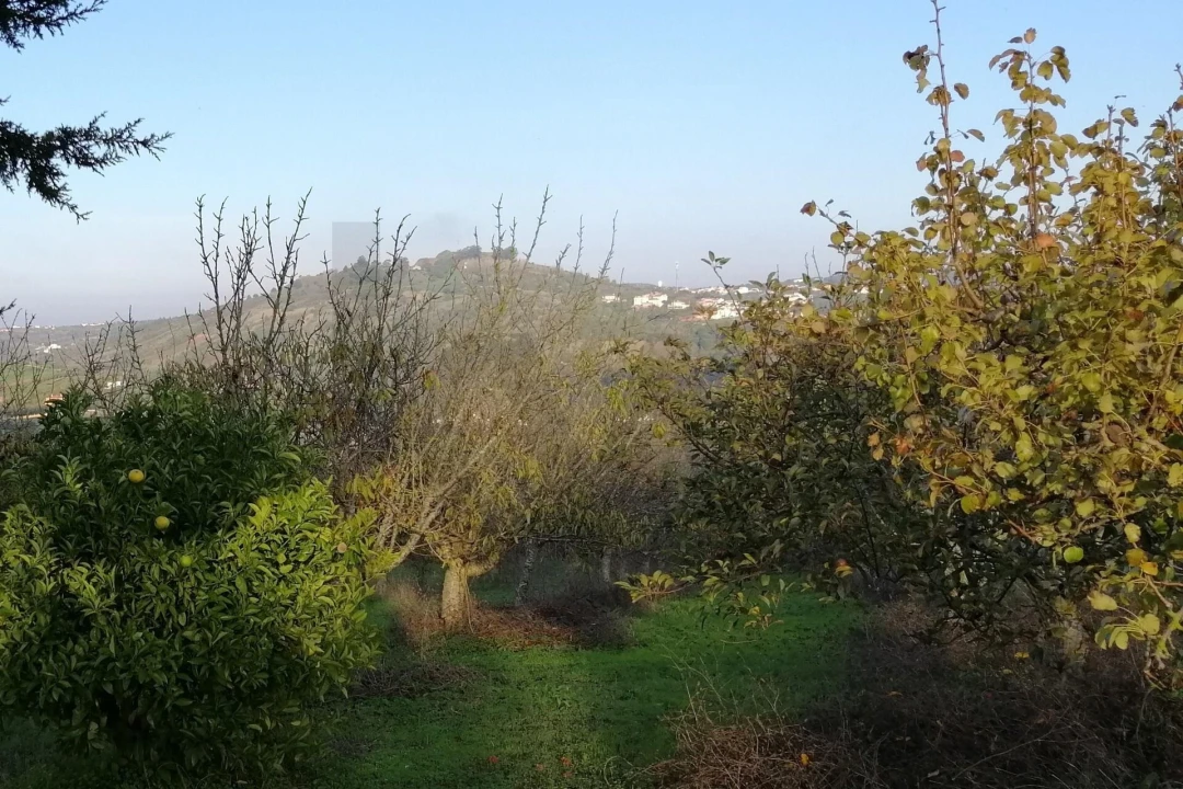 Terreno para Venda em Meca Foto 1
