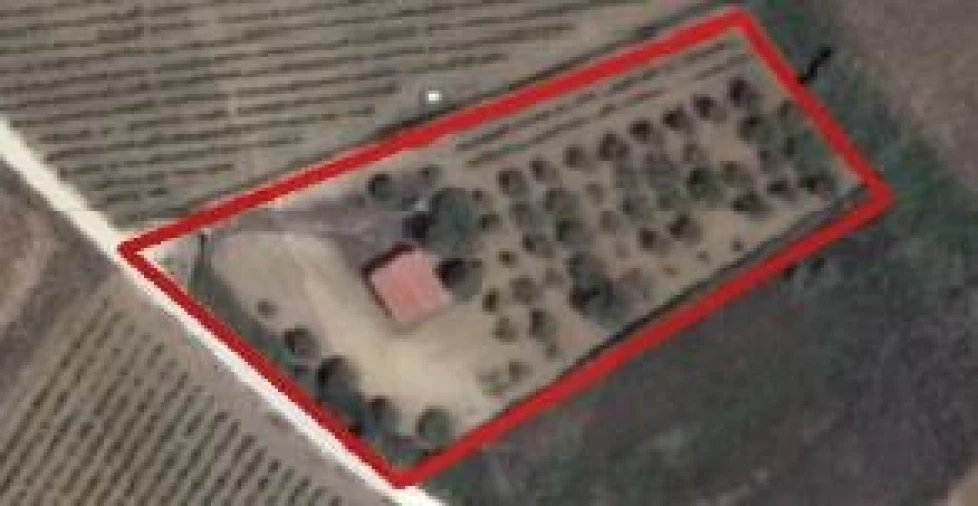 Terreno para Venda em Meca Foto 10
