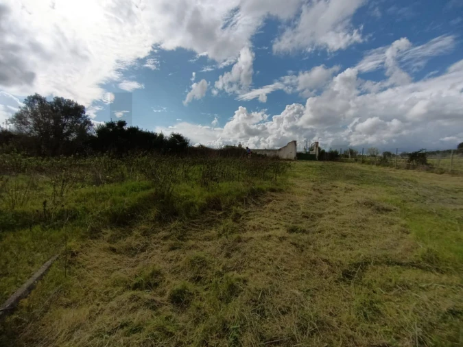 Terreno para Venda em Meca Foto 3