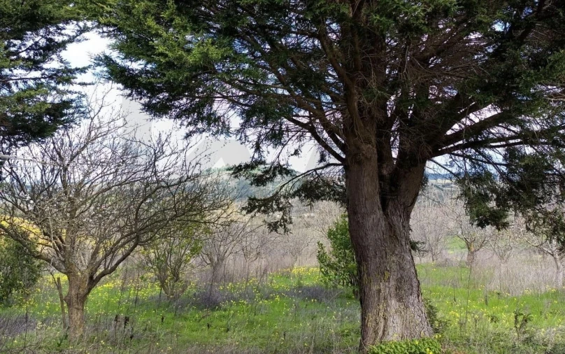 Terreno para Venda em Meca Foto 4