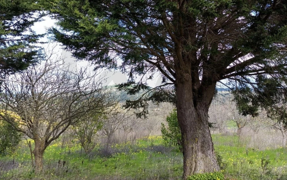 Terreno para Venda em Meca Foto 4
