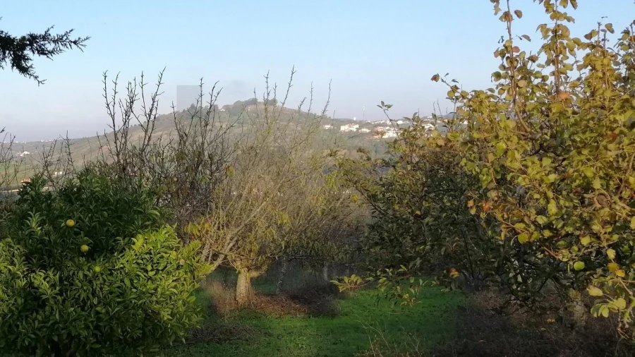 Terreno para Venda em Meca