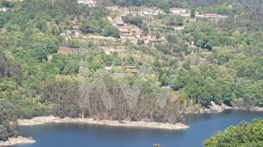 Terreno para Venda em Valdosende