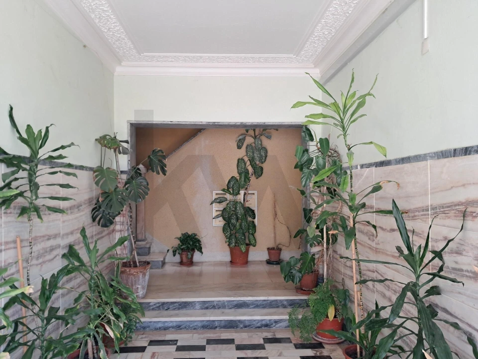 Apartamento T3 para Arrendamento em Caparica e Trafaria Foto 19