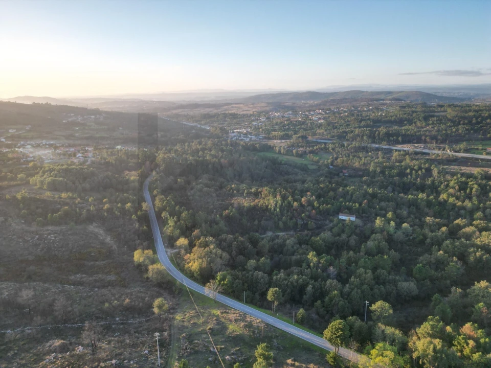 Terreno para Venda em Tavares (Chãs, Várzea e Travanca) Foto 4