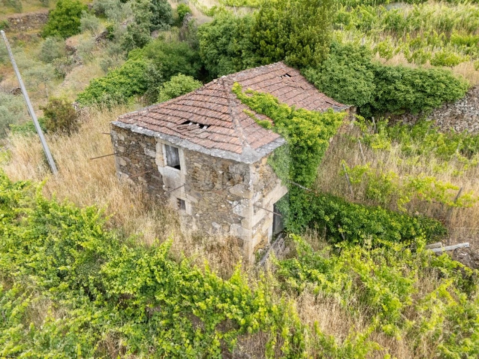 Terreno para Venda em Torgueda Foto 2
