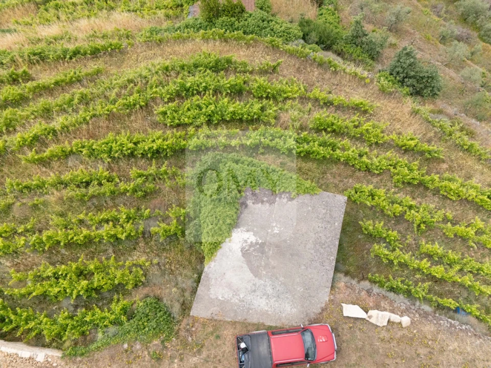 Terreno para Venda em Torgueda Foto 7