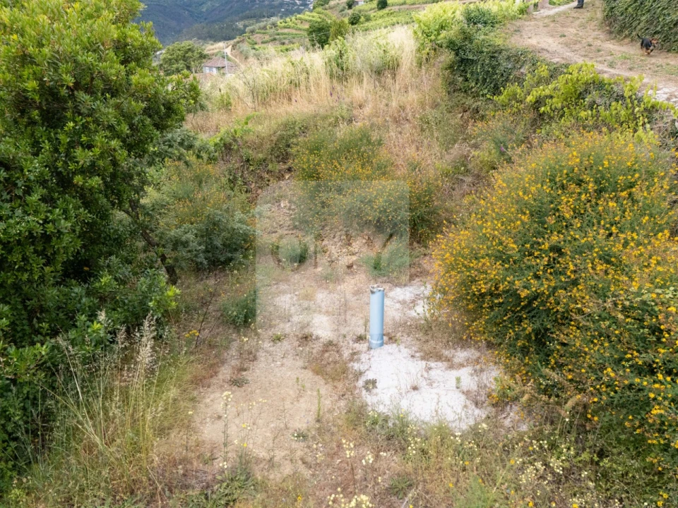 Terreno para Venda em Torgueda Foto 8