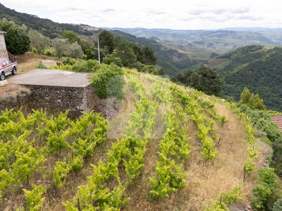 Terreno para Venda em Torgueda Foto 6