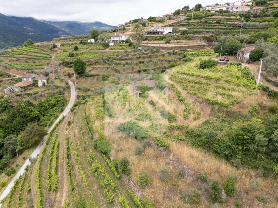 Terreno para Venda em Torgueda Foto 12