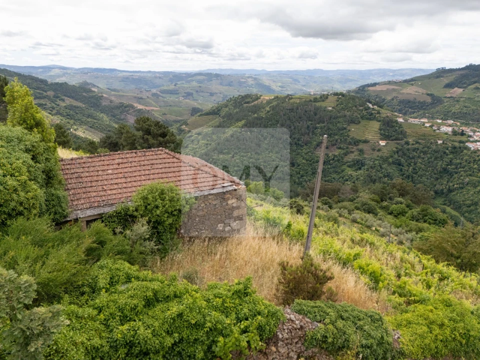 Terreno para Venda em Torgueda Foto 5
