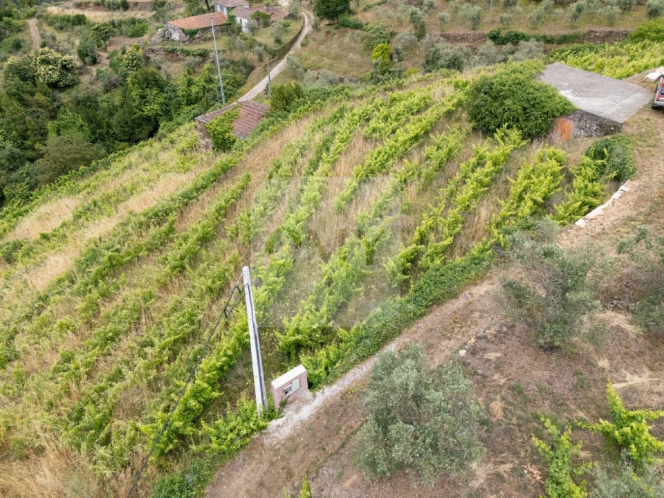 Terreno para Venda em Torgueda Foto 9