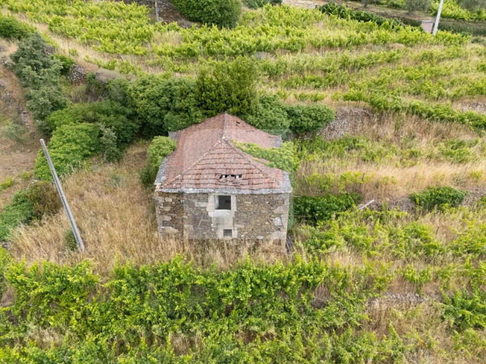 Terreno para Venda em Torgueda Foto 4