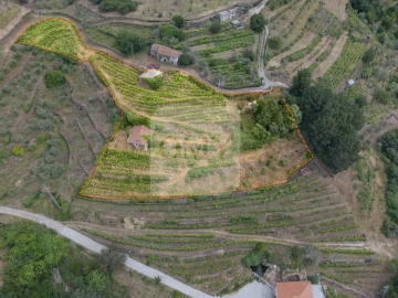 Terreno para Venda em Torgueda