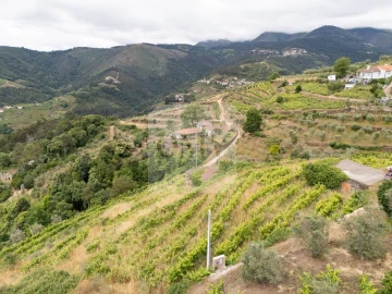 Terreno para Venda em Torgueda