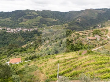 Terreno para Venda em Torgueda