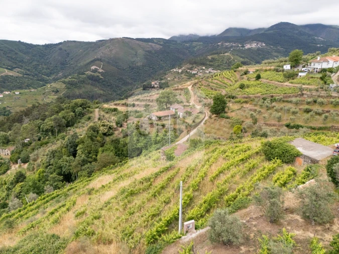 Terreno para Venda em Torgueda Foto 13