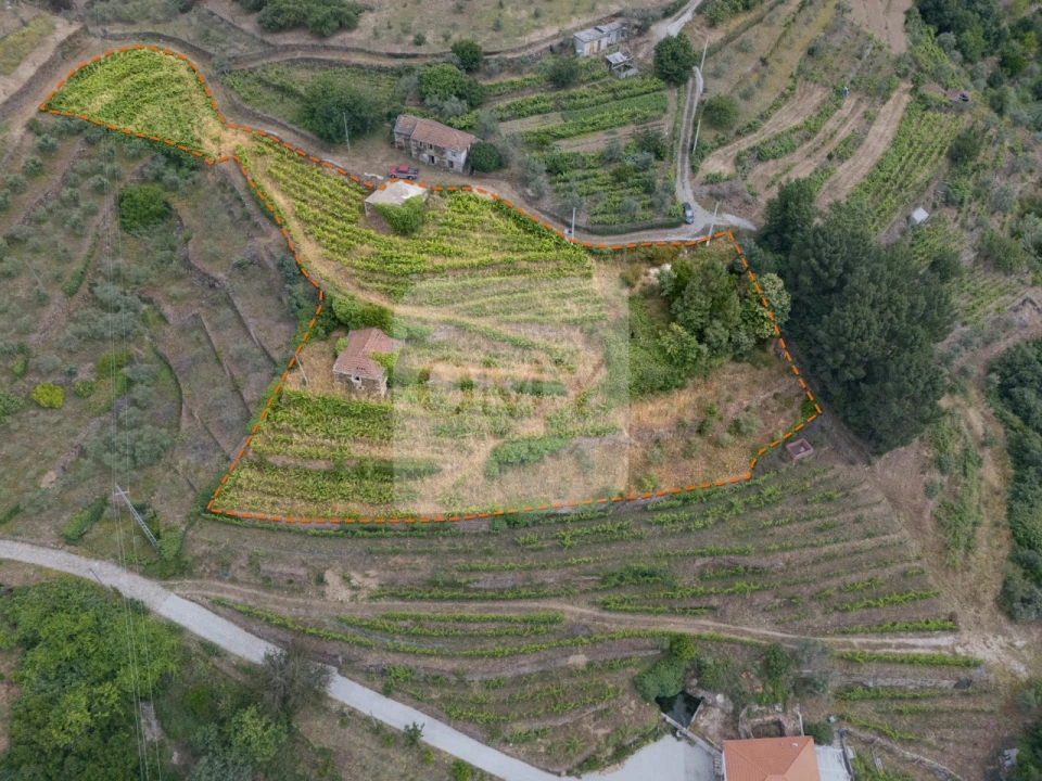 Quinta T5 para Venda em Torgueda Foto 1
