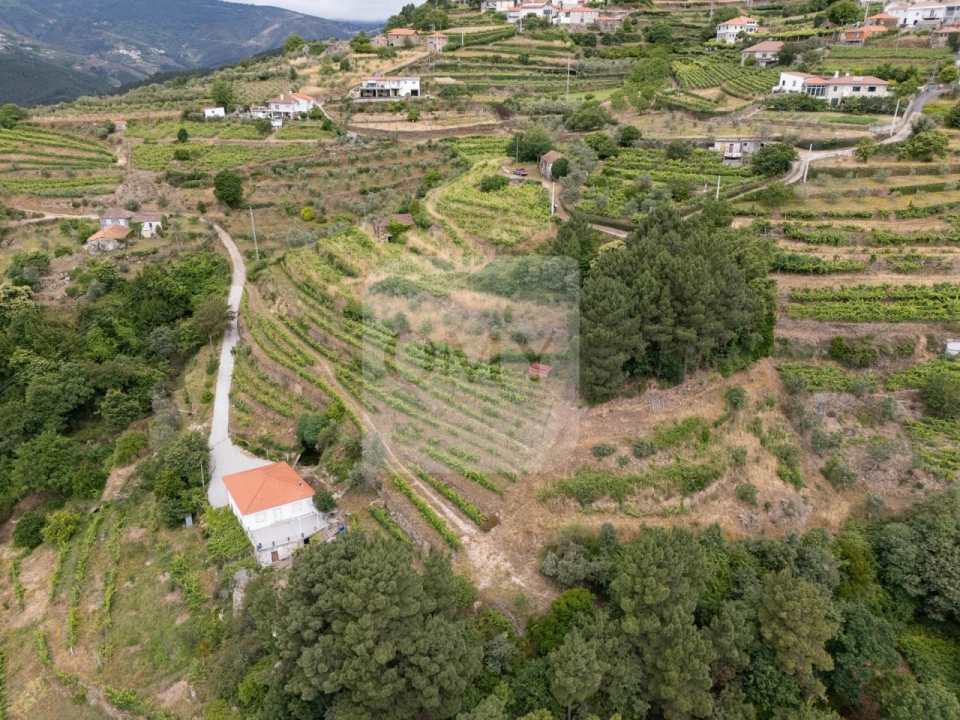 Quinta T5 para Venda em Torgueda Foto 11