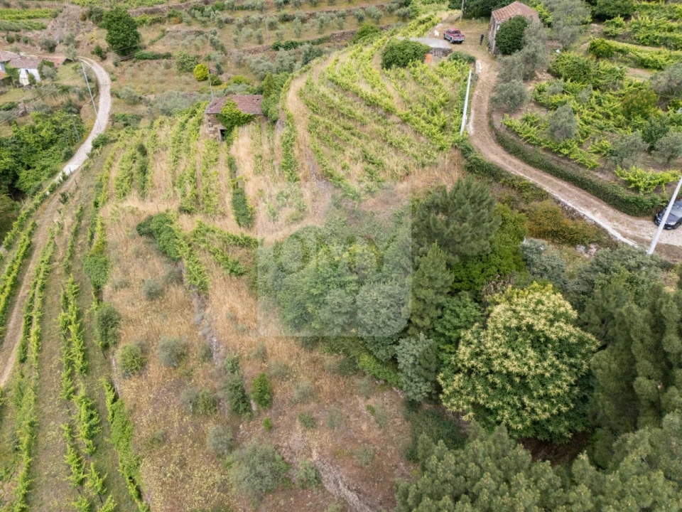 Quinta T5 para Venda em Torgueda Foto 15