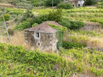 Quinta T5 para Venda em Torgueda