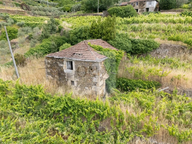 Quinta T5 para Venda em Torgueda Foto 3