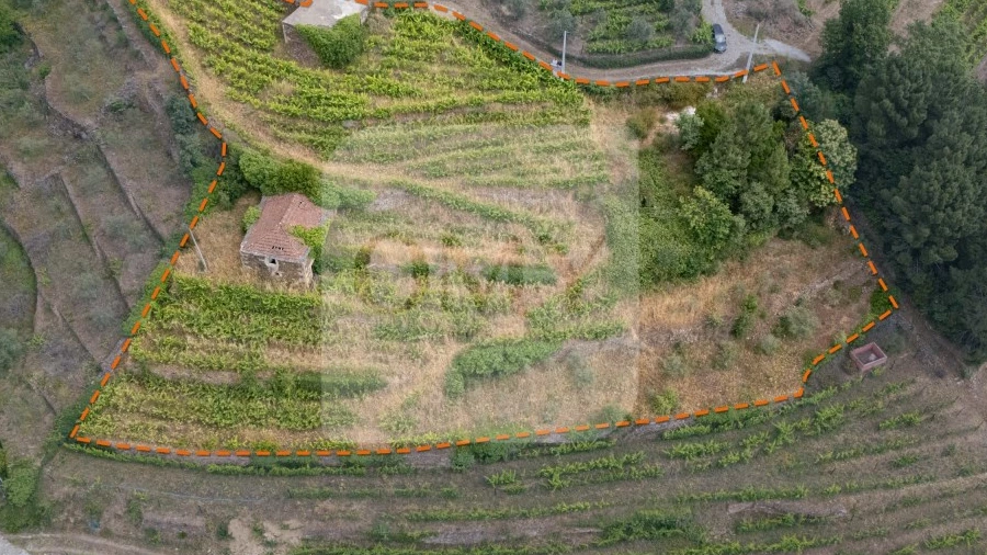Quinta T5 para Venda em Torgueda
