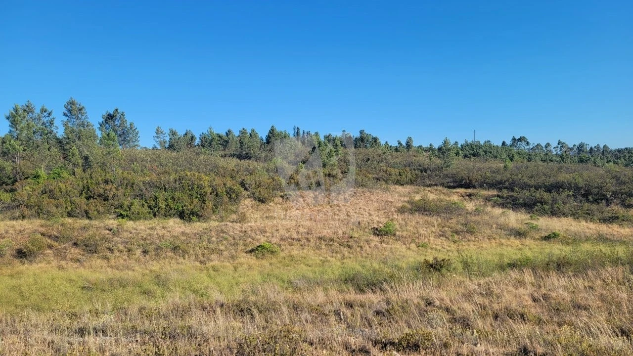 Terreno Agricola ou Rústico para Venda em Sarzedas Foto 28