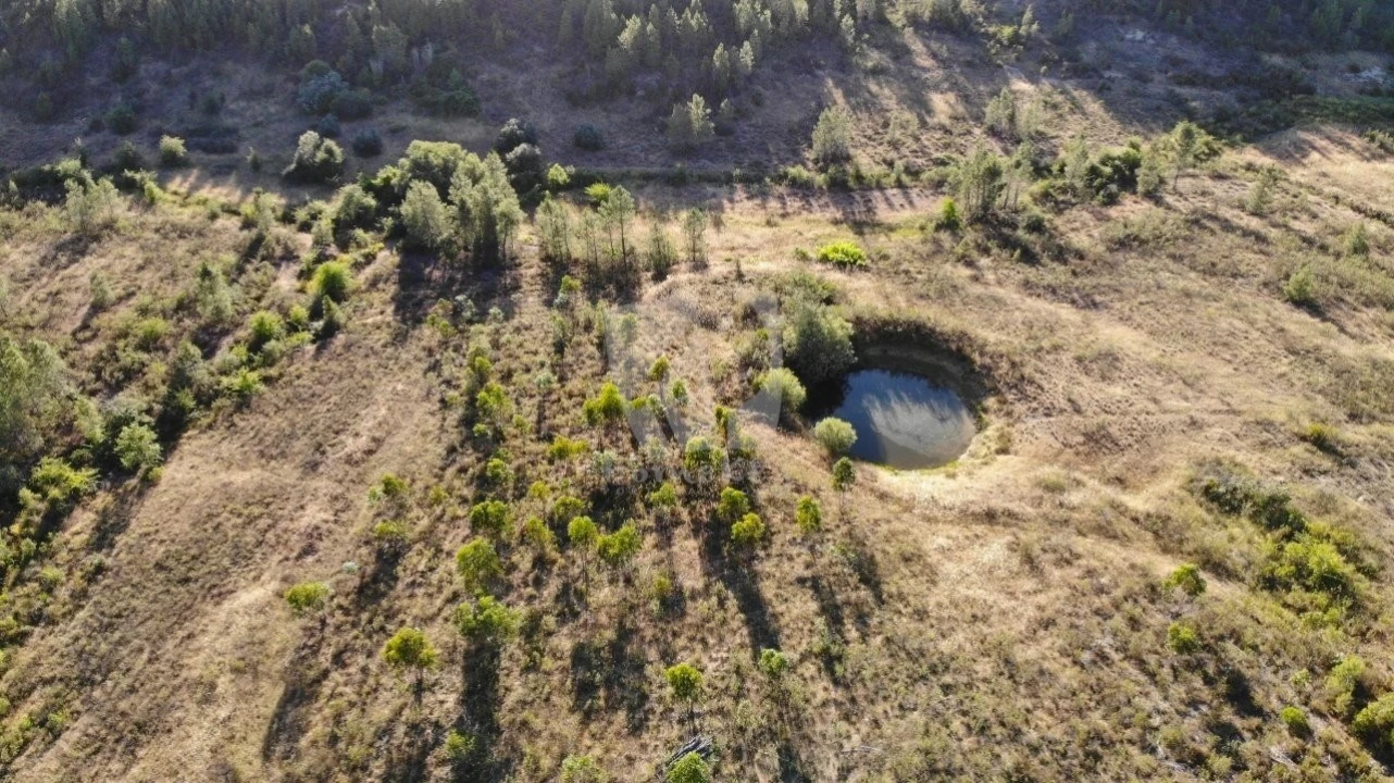 Terreno Agricola ou Rústico para Venda em Sarzedas Foto 10