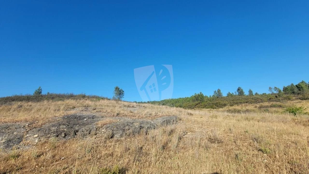 Terreno Agricola ou Rústico para Venda em Sarzedas Foto 26